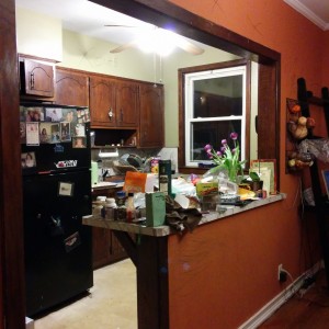 old_kitchen[1]