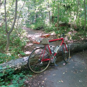 Alley Pond Bike